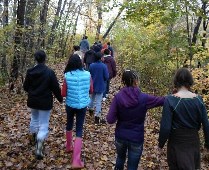 students walking down path in forest